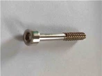 Cabeza hexagonal de tornillo de acero inoxidable